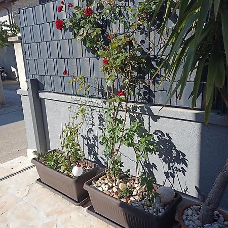 Apartman Lara Zadar Apartment Bagian luar foto