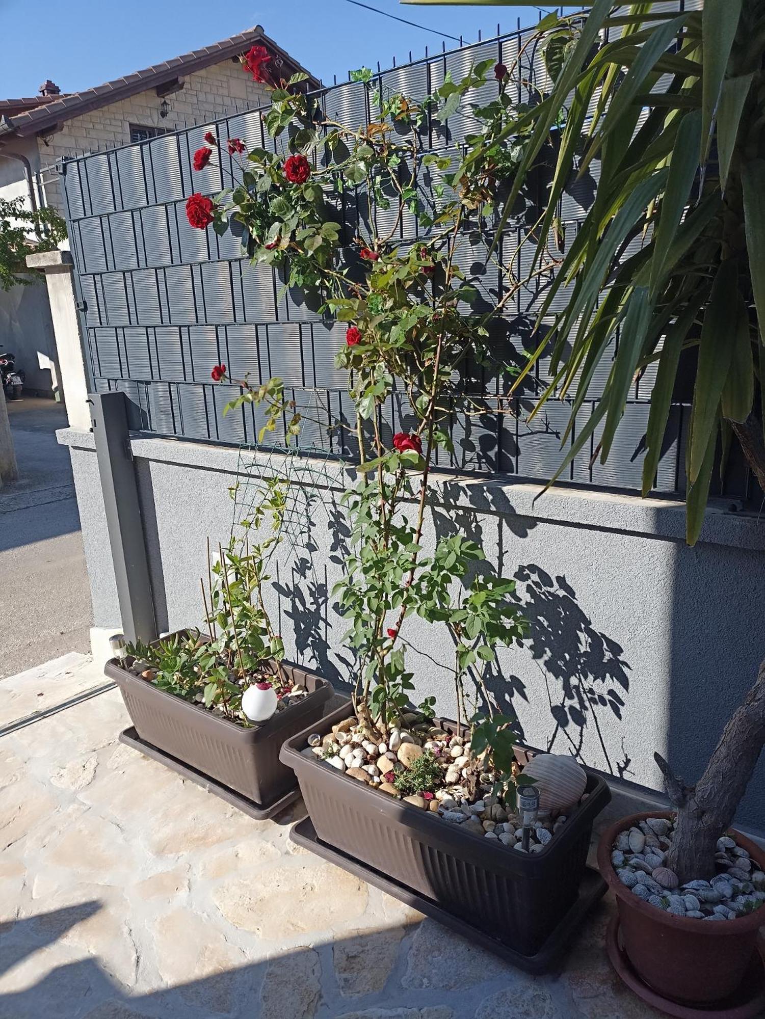 Apartman Lara Zadar Apartment Bagian luar foto